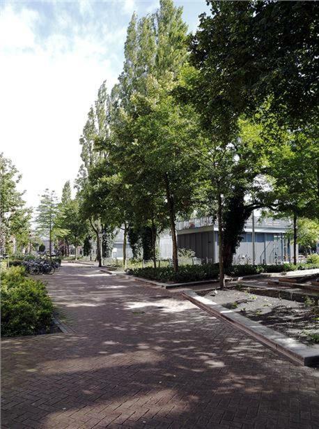 Ecofriendly Room Close To Center Amsterdam Exterior photo
